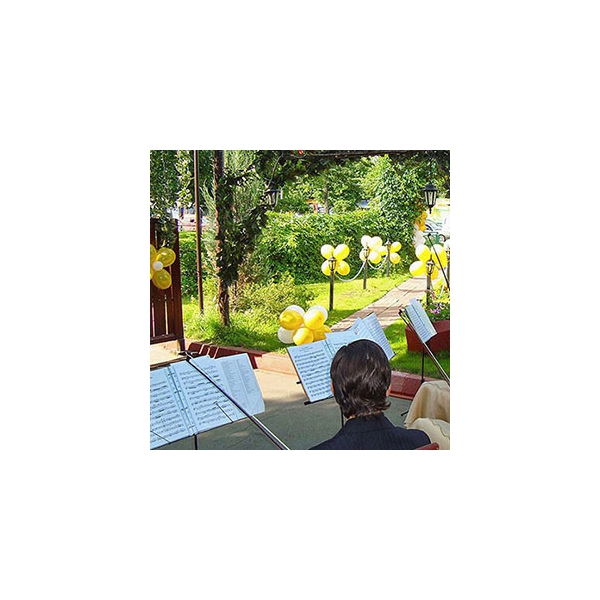 Ресторанный сервис бронирования столиков menu-rest.com - Интерьер ресторана "Банкетный Зал Валенсия"