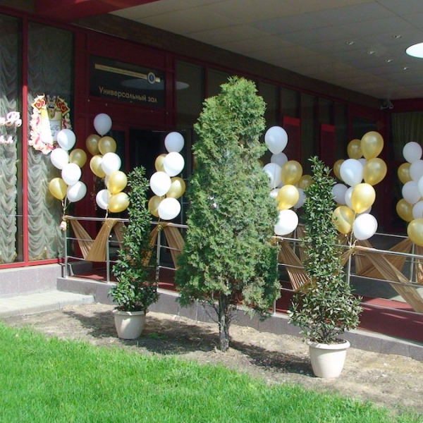 Ресторанный сервис бронирования столиков menu-rest.com - Интерьер ресторана "Антре холл"