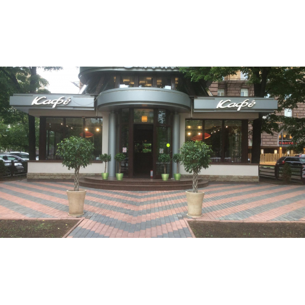 Ресторанный сервис бронирования столиков menu-rest.com - Интерьер ресторана "Базилик"