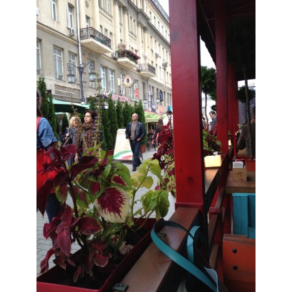 Ресторанный сервис бронирования столиков menu-rest.com - Интерьер ресторана "Две палочки"