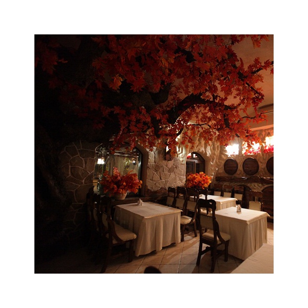 Ресторанный сервис бронирования столиков menu-rest.com - Интерьер ресторана "Фаэтон"