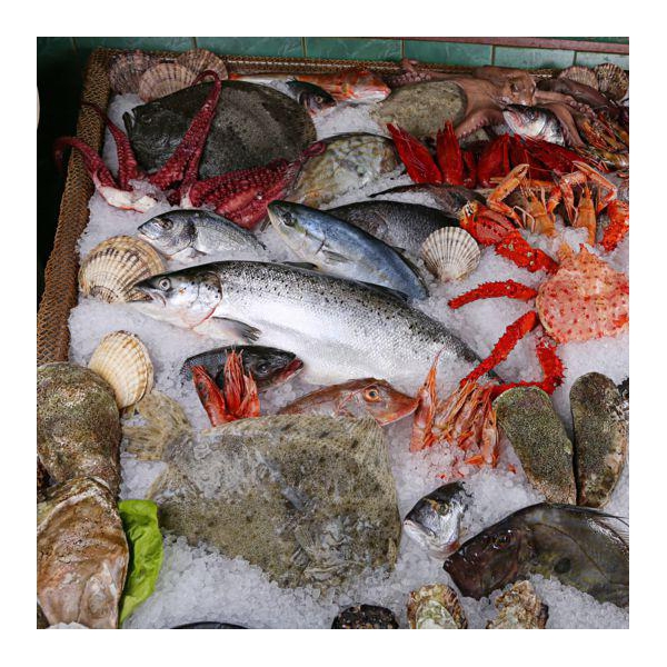 Ресторанный сервис бронирования столиков menu-rest.com - Интерьер ресторана "Porto Maltese Vip"