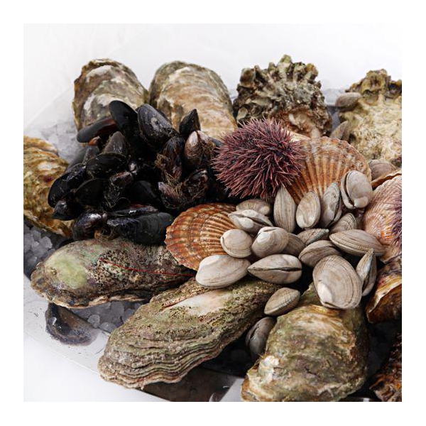 Ресторанный сервис бронирования столиков menu-rest.com - Интерьер ресторана "Porto Maltese Vip"