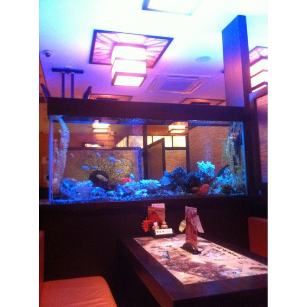 Ресторанный сервис бронирования столиков menu-rest.com - Интерьер ресторана "Нияма"