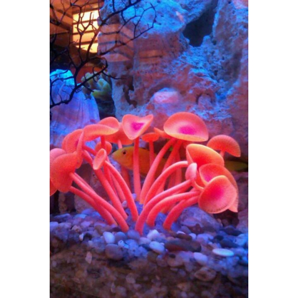 Ресторанный сервис бронирования столиков menu-rest.com - Интерьер ресторана "Нияма"