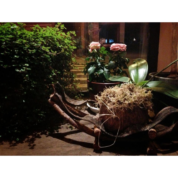 Ресторанный сервис бронирования столиков menu-rest.com - Интерьер ресторана "Ю-мэ"