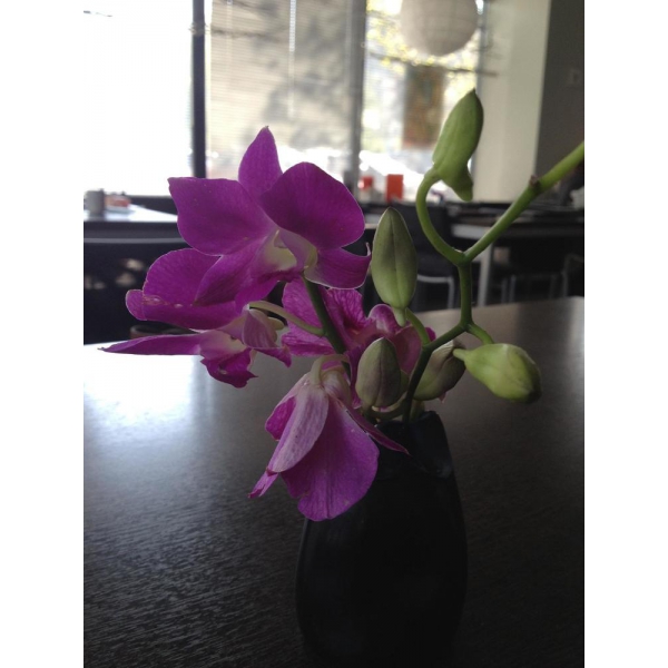 Ресторанный сервис бронирования столиков menu-rest.com - Интерьер ресторана "ТАКЭ"