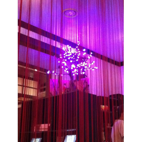 Ресторанный сервис бронирования столиков menu-rest.com - Интерьер ресторана "Цветение Сакуры"