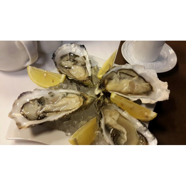 Ресторанный сервис бронирования столиков menu-rest.com - Интерьер ресторана "Sea-тория"