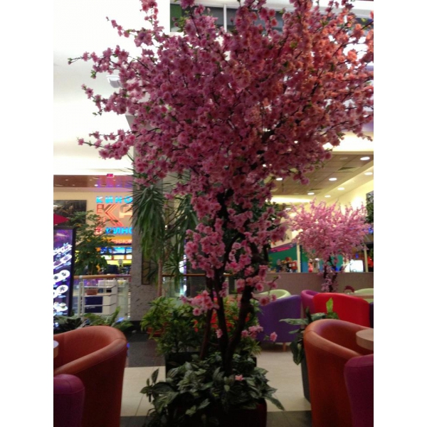 Ресторанный сервис бронирования столиков menu-rest.com - Интерьер ресторана "TOKYO BAY"