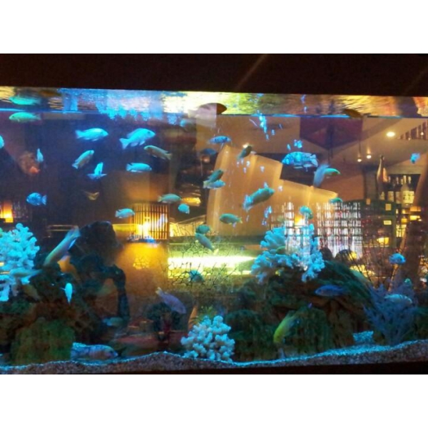 Ресторанный сервис бронирования столиков menu-rest.com - Интерьер ресторана "Якуми"