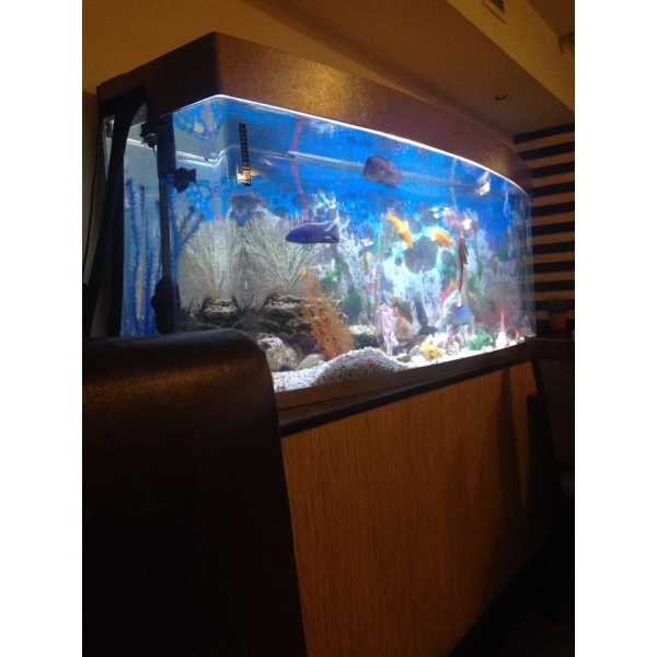 Ресторанный сервис бронирования столиков menu-rest.com - Интерьер ресторана "Токио"