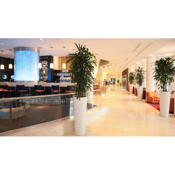 Ресторанный сервис бронирования столиков menu-rest.com - Интерьер ресторана "Пиано-бар"