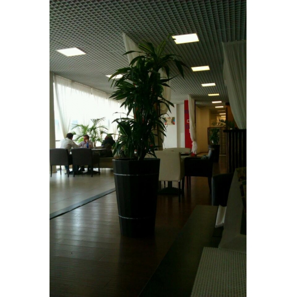 Ресторанный сервис бронирования столиков menu-rest.com - Интерьер ресторана "Синьор Сушини"