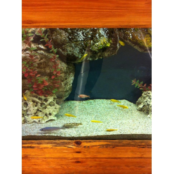 Ресторанный сервис бронирования столиков menu-rest.com - Интерьер ресторана "Sushilka"