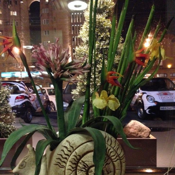 Ресторанный сервис бронирования столиков menu-rest.com - Интерьер ресторана "Якитория"