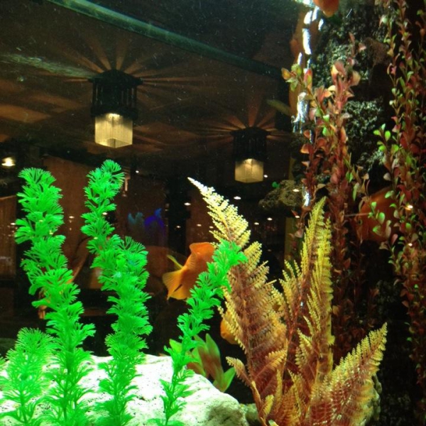 Ресторанный сервис бронирования столиков menu-rest.com - Интерьер ресторана "Якитория"