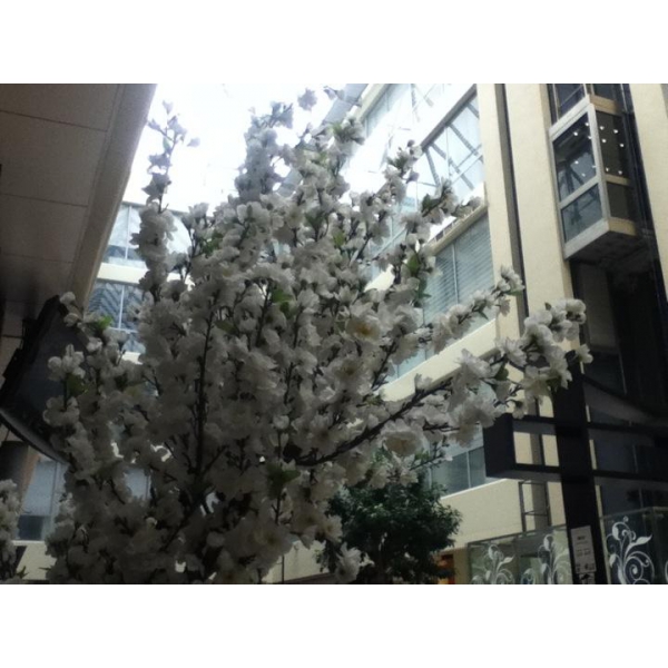 Ресторанный сервис бронирования столиков menu-rest.com - Интерьер ресторана "Планета Суши"