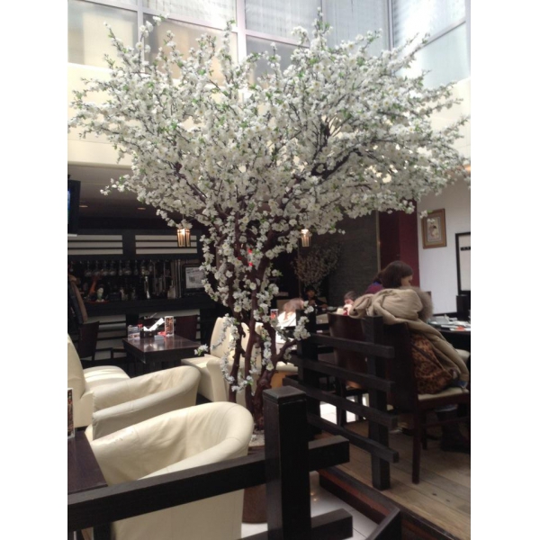 Ресторанный сервис бронирования столиков menu-rest.com - Интерьер ресторана "Планета Суши"