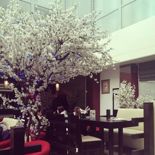 Ресторанный сервис бронирования столиков menu-rest.com - Интерьер ресторана "Планета Суши"