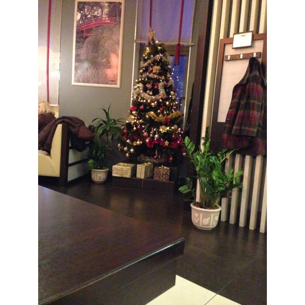 Ресторанный сервис бронирования столиков menu-rest.com - Интерьер ресторана "Планета Суши"