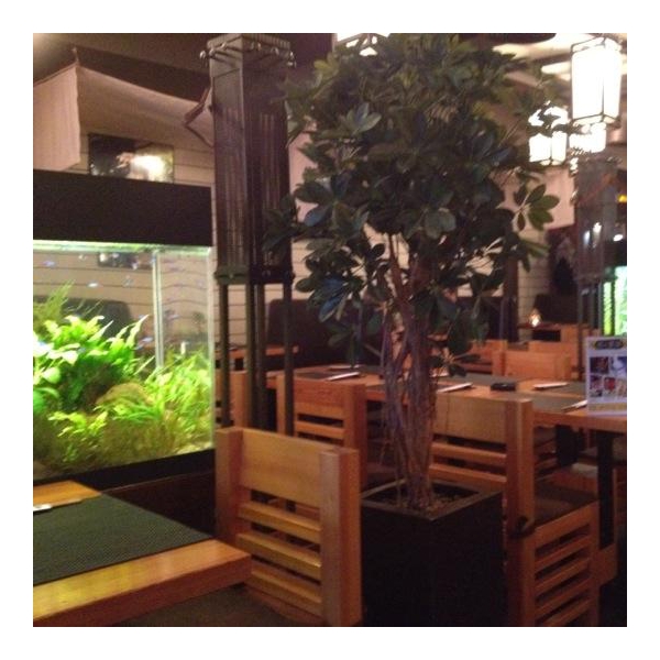 Ресторанный сервис бронирования столиков menu-rest.com - Интерьер ресторана "Якитория"