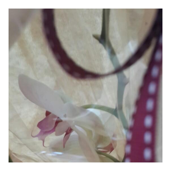 Ресторанный сервис бронирования столиков menu-rest.com - Интерьер ресторана "Якитория"