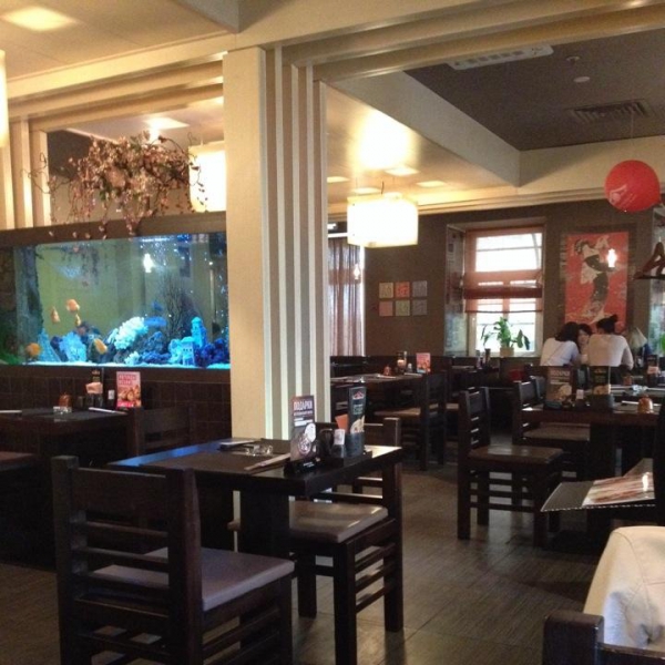 Ресторанный сервис бронирования столиков menu-rest.com - Интерьер ресторана "Якитория"