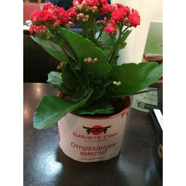 Ресторанный сервис бронирования столиков menu-rest.com - Интерьер ресторана "Планета Суши"