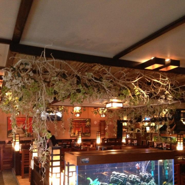 Ресторанный сервис бронирования столиков menu-rest.com - Интерьер ресторана "Якитория"