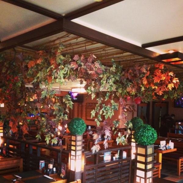 Ресторанный сервис бронирования столиков menu-rest.com - Интерьер ресторана "Якитория"