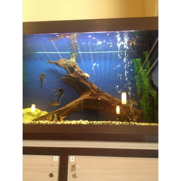 Ресторанный сервис бронирования столиков menu-rest.com - Интерьер ресторана "Планета Суши"