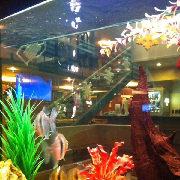 Ресторанный сервис бронирования столиков menu-rest.com - Интерьер ресторана "Якитория"