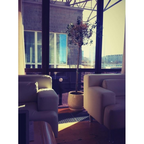 Ресторанный сервис бронирования столиков menu-rest.com - Интерьер ресторана "Sasha`s bar"