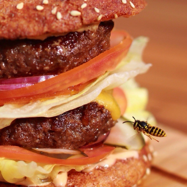 Ресторанный сервис бронирования столиков menu-rest.com - Интерьер ресторана "THE PUB"