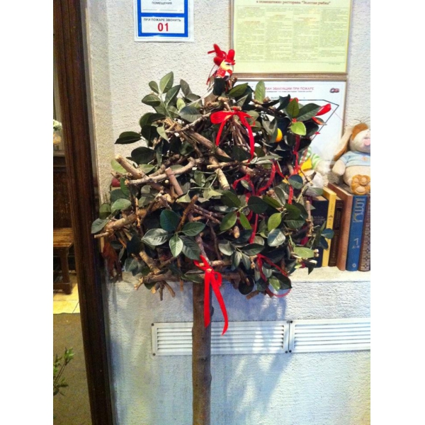 Ресторанный сервис бронирования столиков menu-rest.com - Интерьер ресторана "Золотая рыбка"