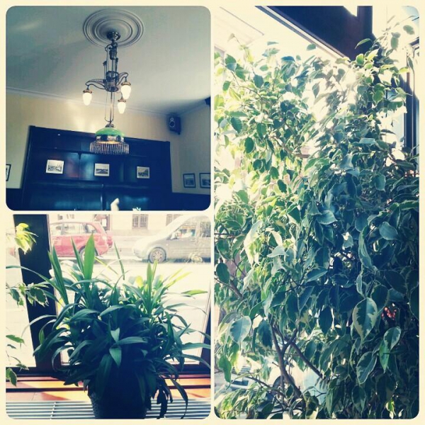 Ресторанный сервис бронирования столиков menu-rest.com - Интерьер ресторана "Линдфорс"