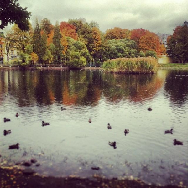 Ресторанный сервис бронирования столиков menu-rest.com - Интерьер ресторана "Таврический сад"