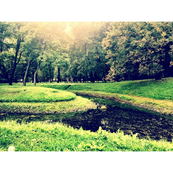 Ресторанный сервис бронирования столиков menu-rest.com - Интерьер ресторана "Таврический сад"