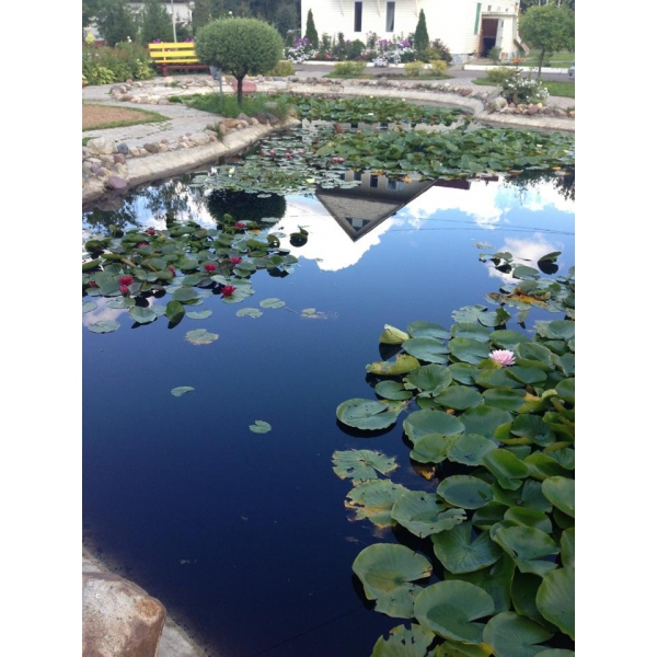 Ресторанный сервис бронирования столиков menu-rest.com - Интерьер ресторана "Причал"