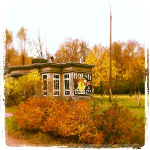 Ресторанный сервис бронирования столиков menu-rest.com - Интерьер ресторана "Васин сад"