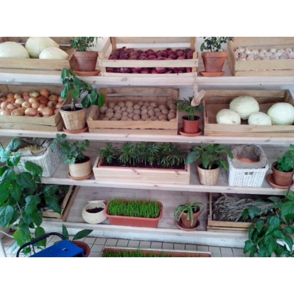 Ресторанный сервис бронирования столиков menu-rest.com - Интерьер ресторана "Marketplace"