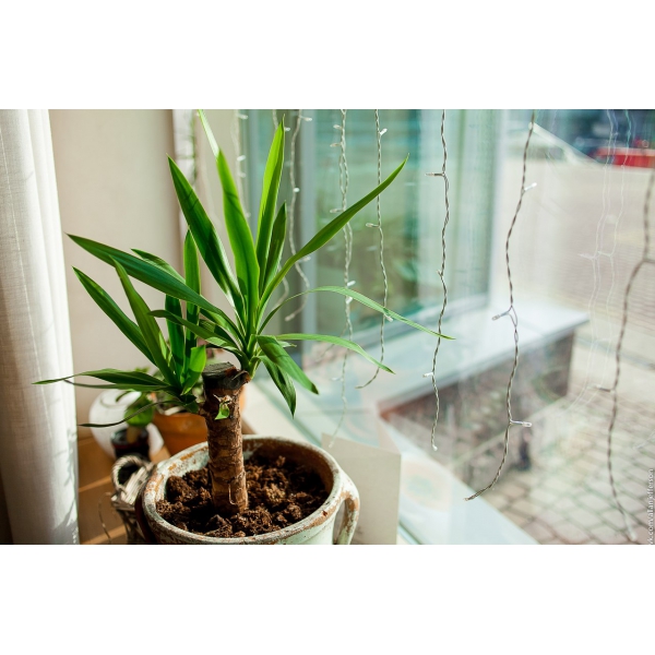 Ресторанный сервис бронирования столиков menu-rest.com - Интерьер ресторана "Бричмула"