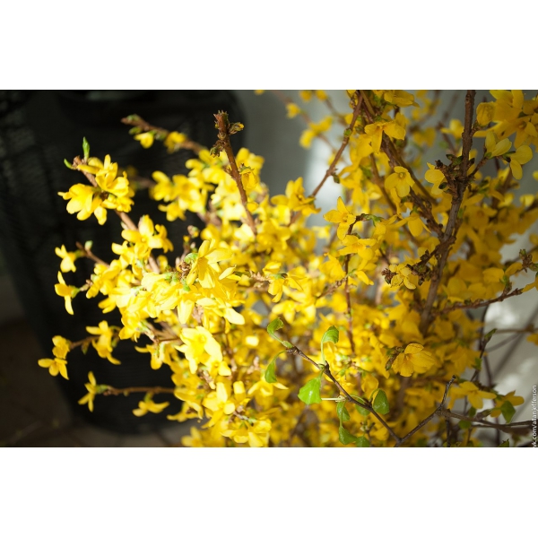 Ресторанный сервис бронирования столиков menu-rest.com - Интерьер ресторана "Бричмула"