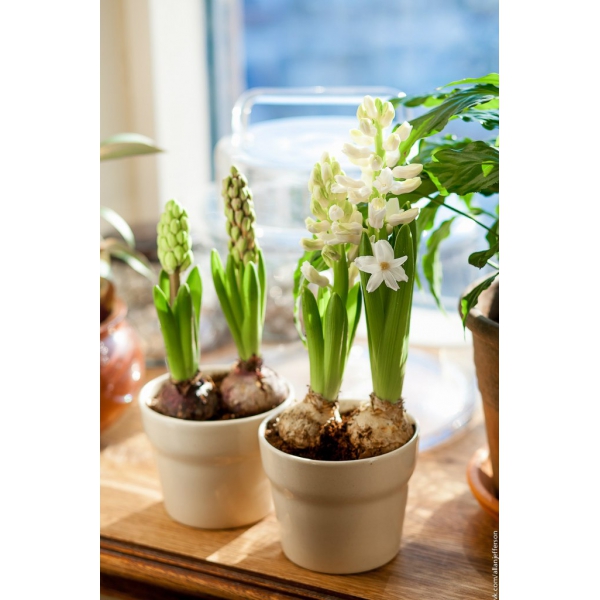 Ресторанный сервис бронирования столиков menu-rest.com - Интерьер ресторана "Бричмула"