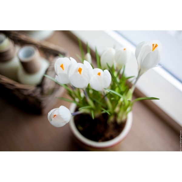 Ресторанный сервис бронирования столиков menu-rest.com - Интерьер ресторана "Бричмула"