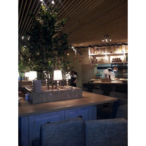 Ресторанный сервис бронирования столиков menu-rest.com - Интерьер ресторана "Chili Pizza"