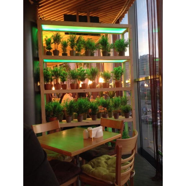 Ресторанный сервис бронирования столиков menu-rest.com - Интерьер ресторана "Chili Pizza"