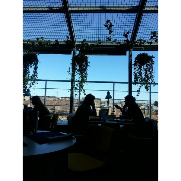 Ресторанный сервис бронирования столиков menu-rest.com - Интерьер ресторана "Гастрономика"