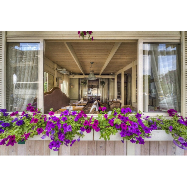 Ресторанный сервис бронирования столиков menu-rest.com - Интерьер ресторана "MAMALЫGA"